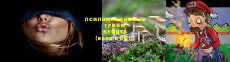 блэк спрут сайт  купить закладку  Ясногорск  Псилоцибиновые грибы Cubensis 